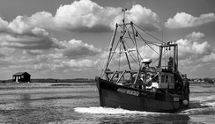 发手机号软件app