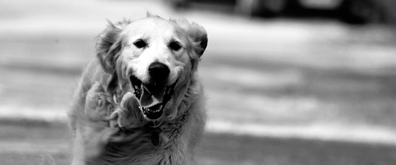 卡密商城特价的在线短信轰炸机